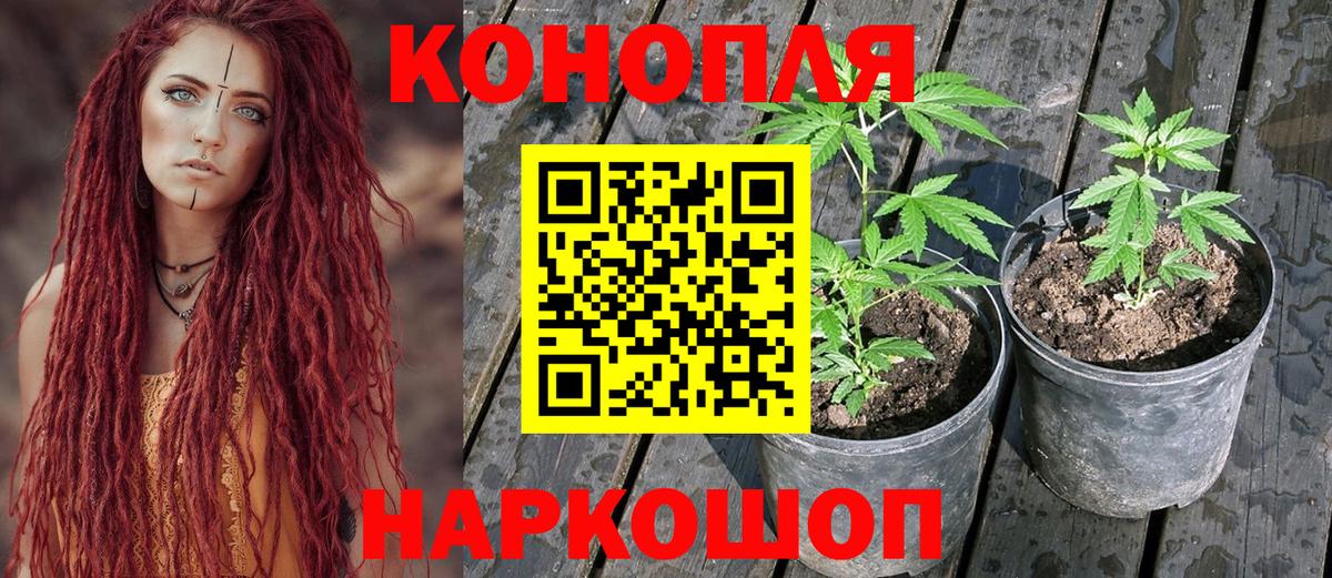 МАРИХУАНА White Widow  Марихуана тримм  Канабис индика  Вход с VPN  Протвино  Канабис White Widow 